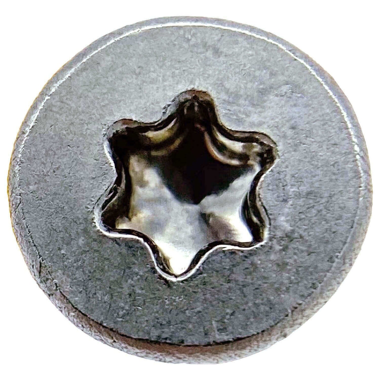 #10 Silver Star Stainless Steel Wood Screw Torx/Star Drive Head - 300 Series Stainless Steel Torx/Star Drive Wood Screws