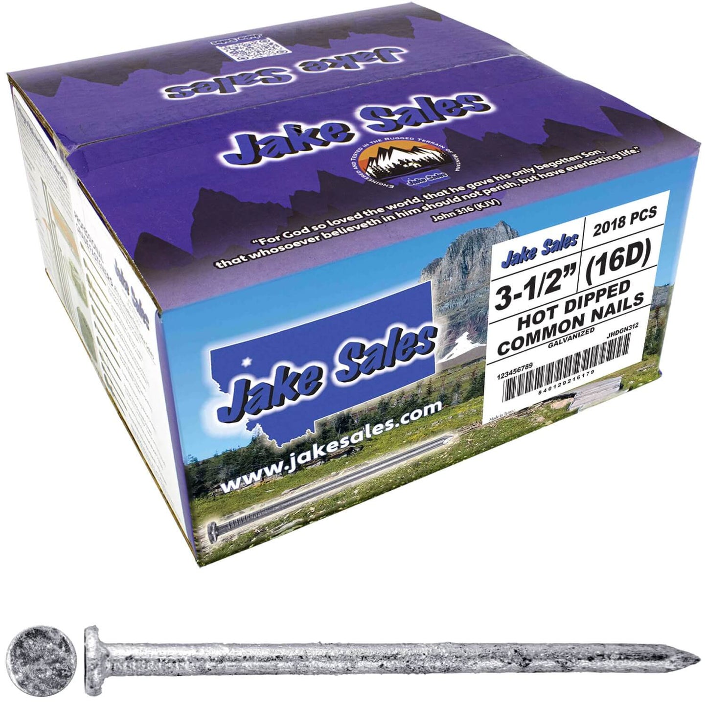 Exterior Hot Dipped Galvanized Common Framing Nail for General Construction, Framing