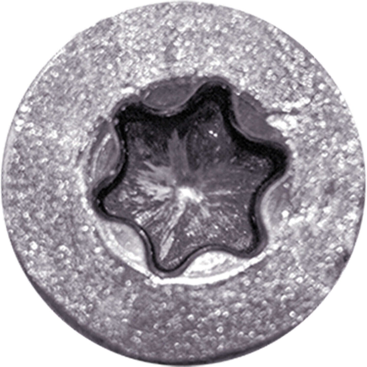 #8 Torx/Star Drive Head - 300 Grade Stainless Steel Torx/Star Drive Wood Screws - Silver Star Stainless Steel Wood Screw
