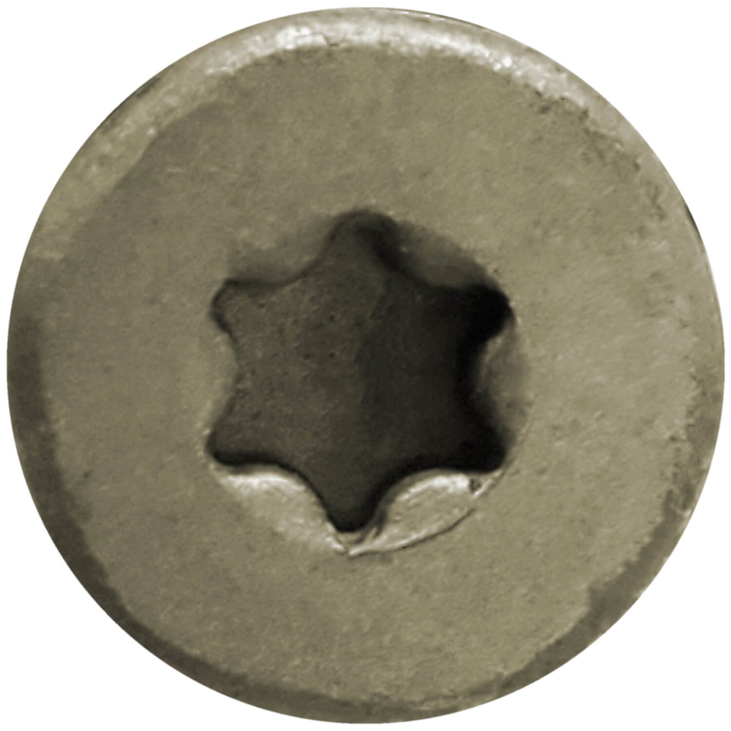 #10 x 2" - 6" Bronze Exterior Coated Wood Screw Torx/Star Drive Head - Multipurpose Exterior Coated Torx/Star Drive Wood Screws