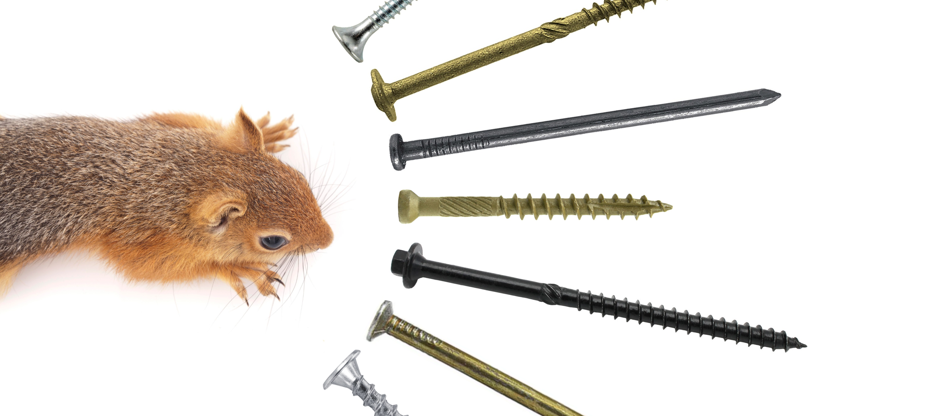 Countersinking vs. Non-Countersinking Fasteners: When to Use Each Type ...