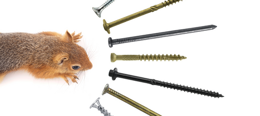 Squirrel with various screws and nails pointing away from it