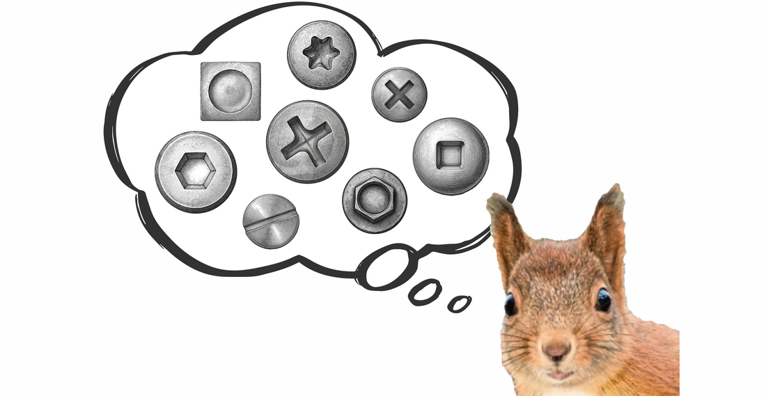A squirrel thinking about screw and bolt drive patterns
