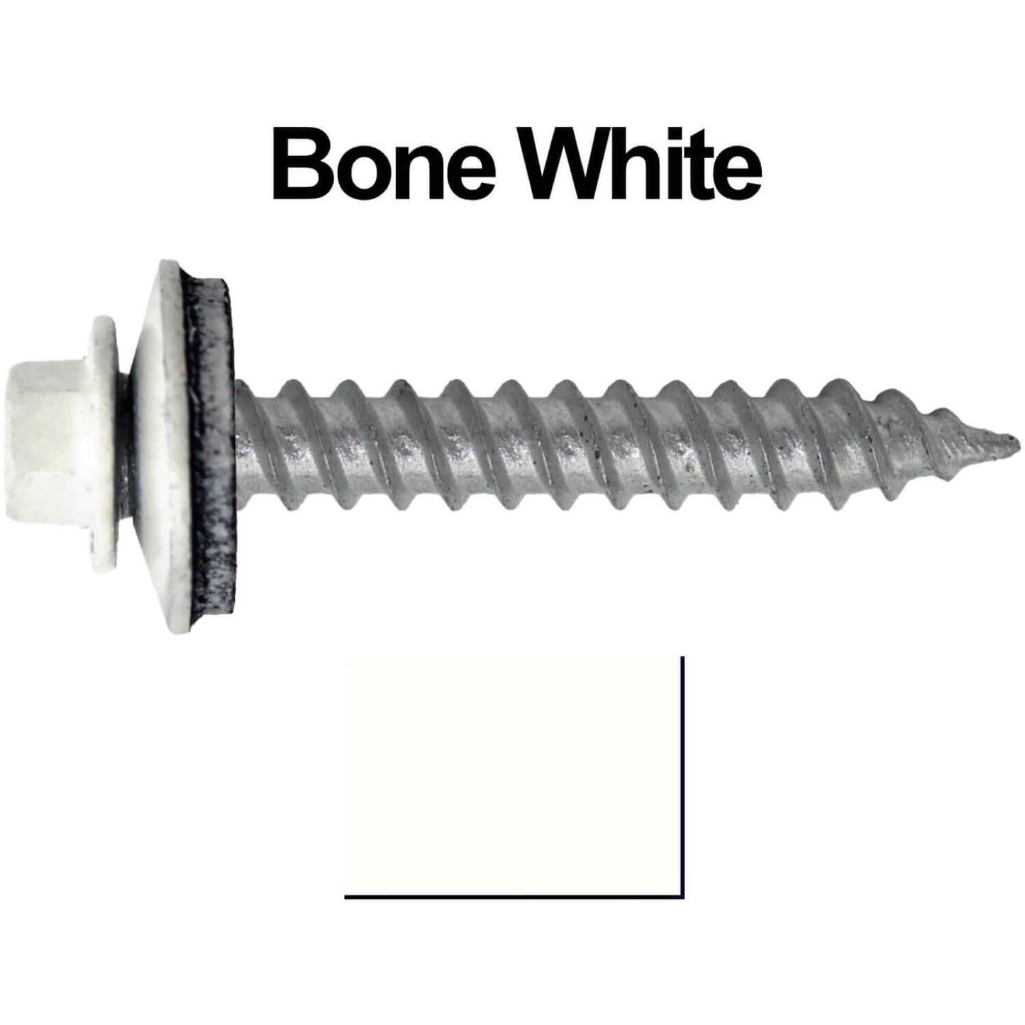 12 1-1-2 bone white main