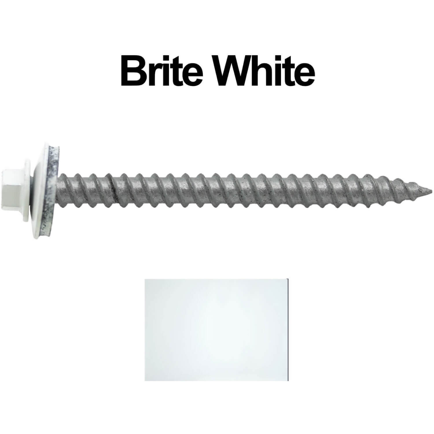 12 2-1-2 brite white main