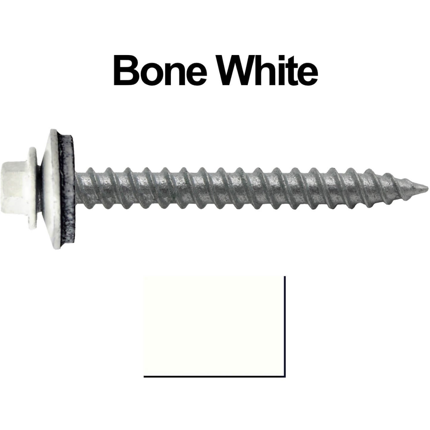 12 2 bone white main