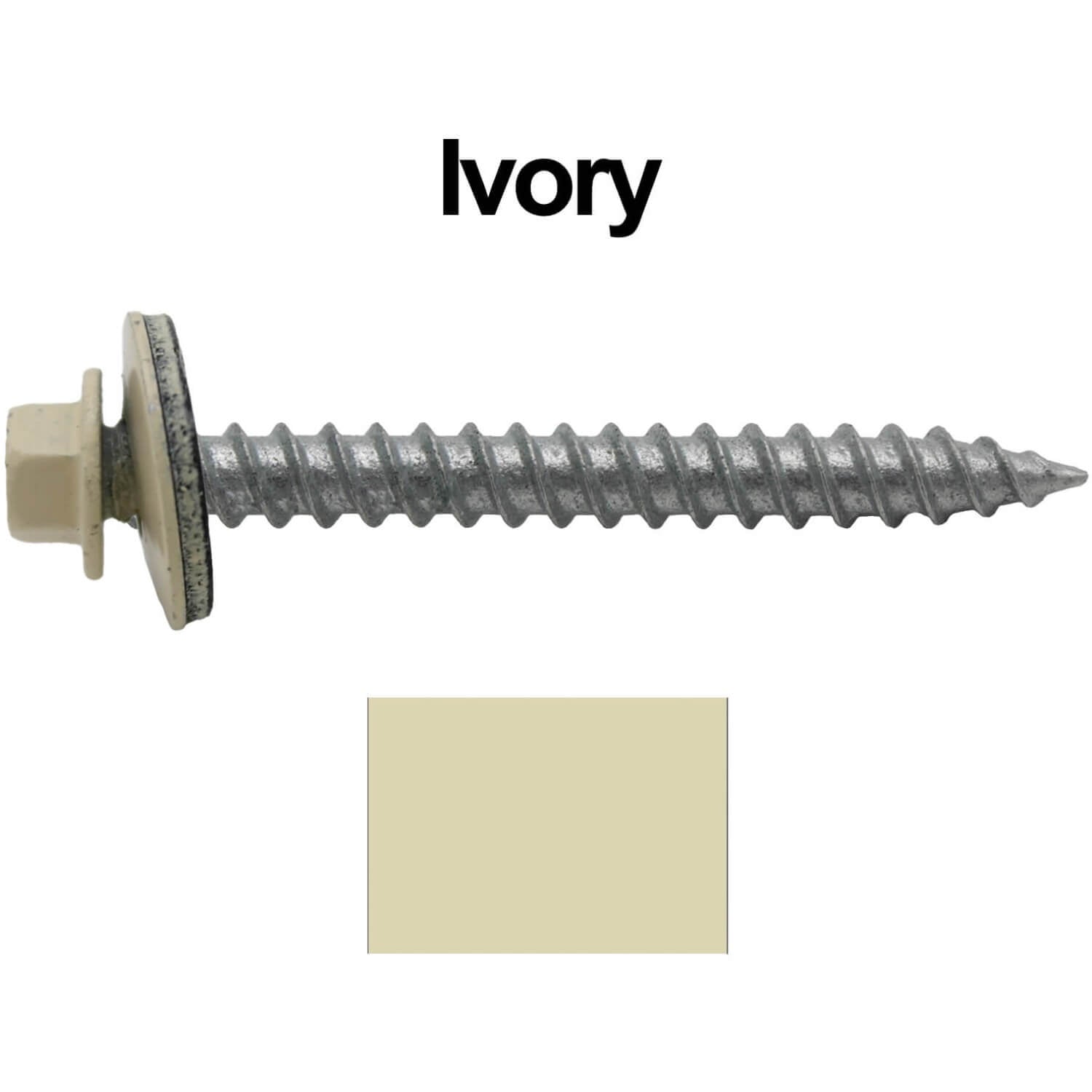 12 2 ivory main