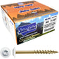 Bronze Star Exterior WHITE Coated Round Head - Cabinet Wood Screw with Torx/Star Drive Head. Multipurpose Exterior/Interior Coated Torx/Star Drive Wood Screws