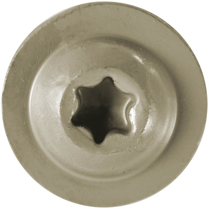 #7 Interior / Exterior Coated Round Head - Wood Screw with Torx/Star Drive Head.