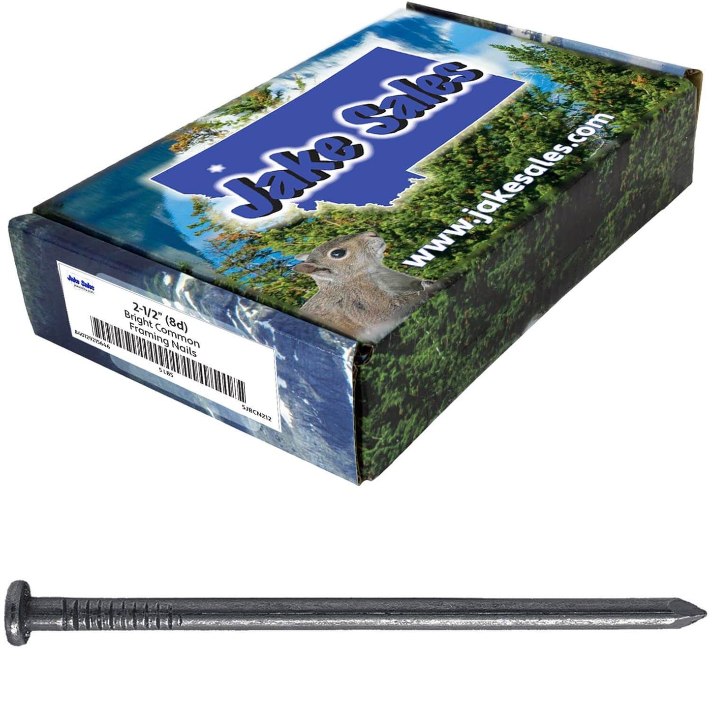 Bright Common Framing Nails - Heavy-Duty Fastener Designed for Interior Construction Applications - Uncoated Carbon Steel with Smooth Shank - Load Bearing Strength