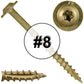 #8 Bronze Star Exterior Coated Modified Truss Head Cabinet Wood Screw Torx/Star Drive Head - Multipurpose Exterior Coated Torx/Star Drive Wood Screws