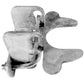 Kennel Gate Latch for Dog Kennel. Fits 1-3/8" Gate Frame & 1-3/8" Gate Post. Made of galvanized steel to prevent rust and corrosion