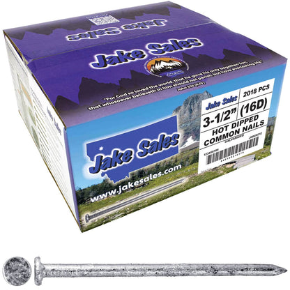 Exterior Hot Dipped Galvanized Common Framing Nail for General Construction, Framing