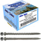 #10 x 2-3/4" Colored Composite Decking Wood Screws with Torx/Star Drive Head (T20 Bit), Exterior Coated, Compatible with Pressure Treated and ACQ Lumber