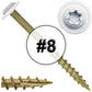 Bronze Star Exterior WHITE Coated Round Head - Cabinet Wood Screw with Torx/Star Drive Head. Multipurpose Exterior/Interior Coated Torx/Star Drive Wood Screws