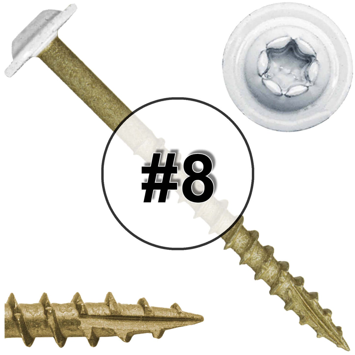 Bronze Star Exterior WHITE Coated Round Head - Cabinet Wood Screw with Torx/Star Drive Head. Multipurpose Exterior/Interior Coated Torx/Star Drive Wood Screws