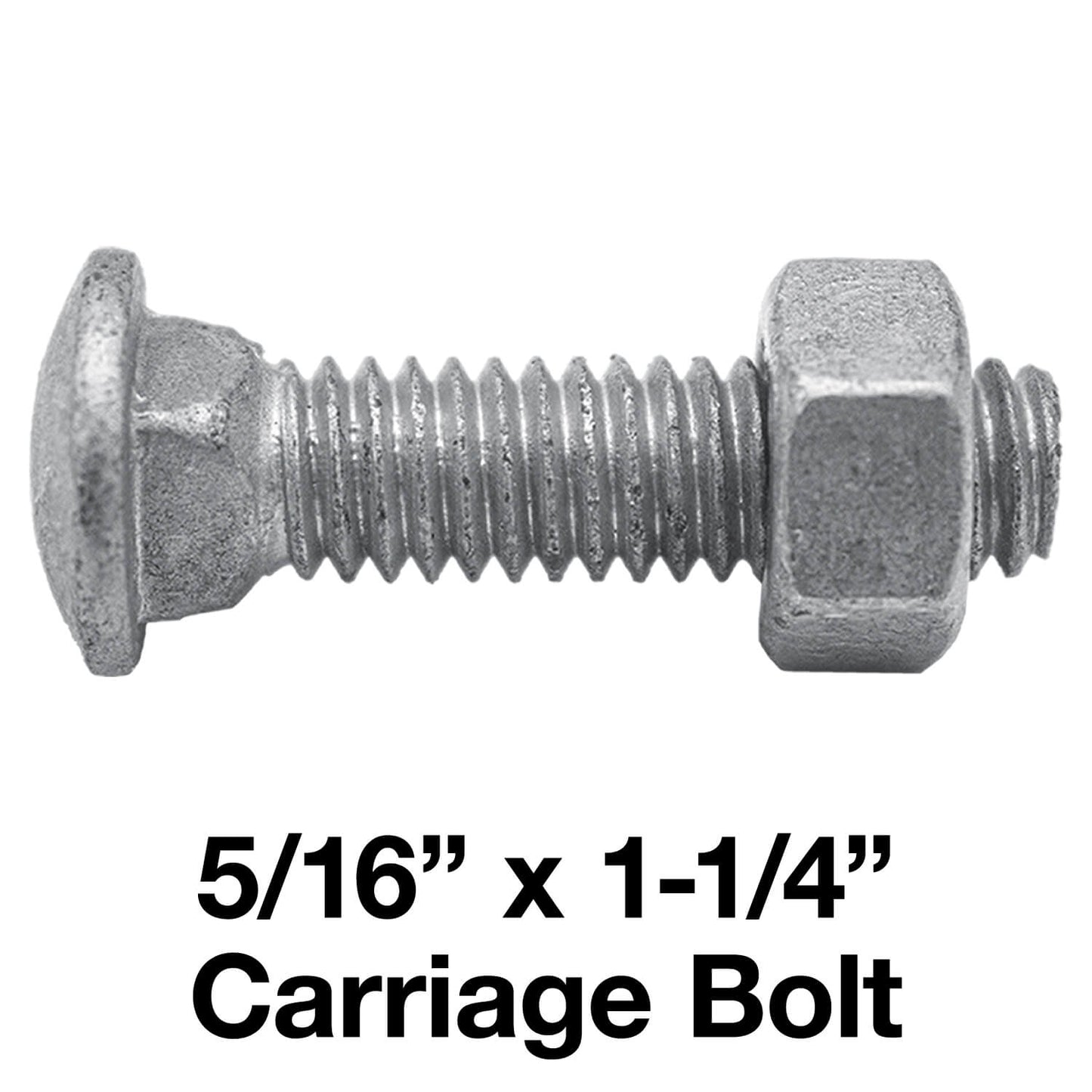 CARRIAGE BOLTS - Galvanized Bulk Chain Link Fence Carriage Bolts