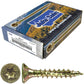 #8 Gold Star/Torx Drive Zinc Coated T-20 Flat Head Wood Screws