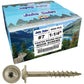 #7 Interior / Exterior Coated Round Head - Wood Screw with Torx/Star Drive Head.