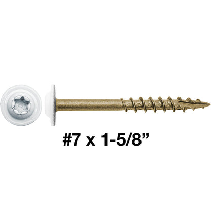#7 x 1-5/8" White Head Round Head Torx/Star Drive Screw - Truss Head - Cabinet Wood Screw Torx/Star Drive Head - Exterior Coated Torx/Star Drive Wood Screws ~3,000 Screws(OVERSTOCK)