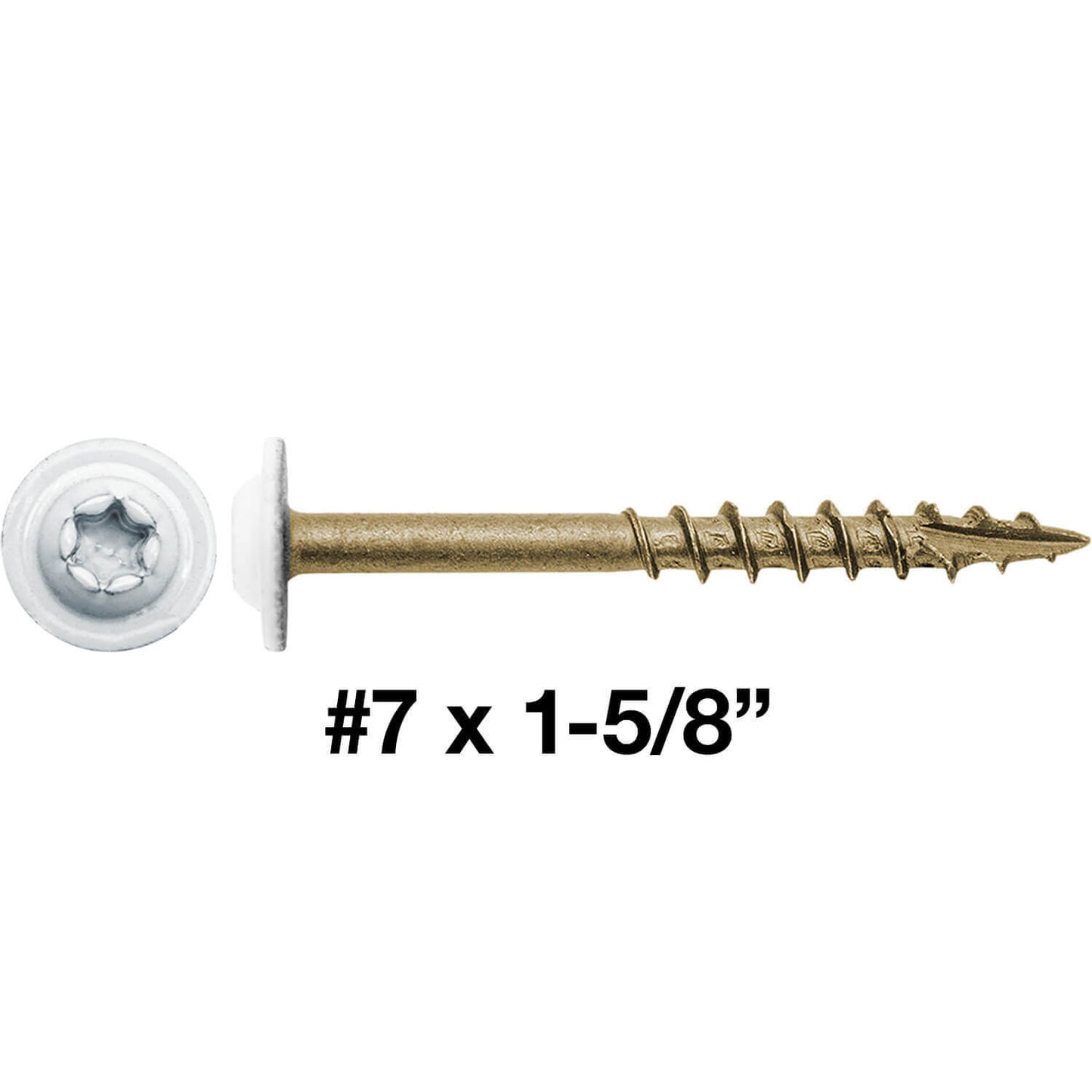 #7 x 1-5/8" White Head Round Head Torx/Star Drive Screw - Truss Head - Cabinet Wood Screw Torx/Star Drive Head - Exterior Coated Torx/Star Drive Wood Screws ~3,000 Screws(OVERSTOCK)