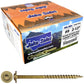 #8 Bronze Star Exterior Coated Modified Truss Head Cabinet Wood Screw Torx/Star Drive Head - Multipurpose Exterior Coated Torx/Star Drive Wood Screws