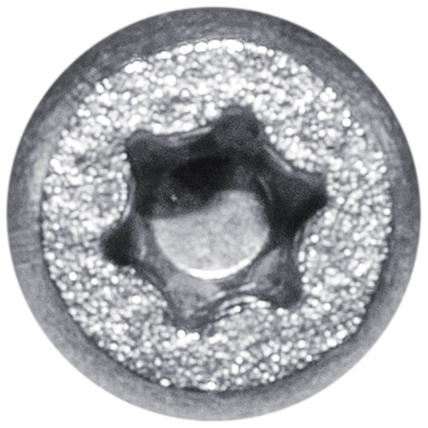 Finish Head Stainless Steel Wood Screw - Marine Grade 316 Stainless Steel for Exterior and Interior Use