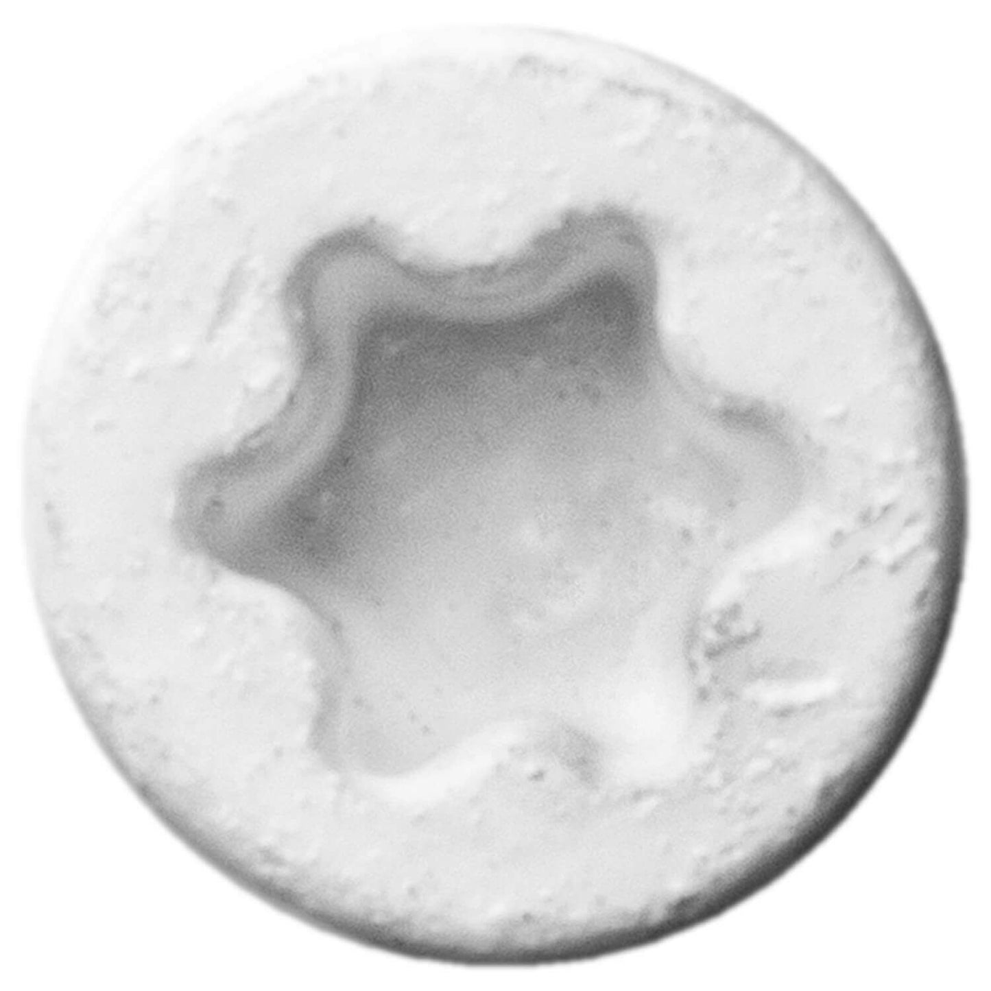 #9 Bronze Star WHITE TRIM HEAD Wood Screw Torx/Star Drive Head- Multipurpose Exterior Coated Torx/Star Drive Wood Screws