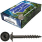 #7 Interior / Exterior Coated Round Head - Wood Screw with Torx/Star Drive Head.