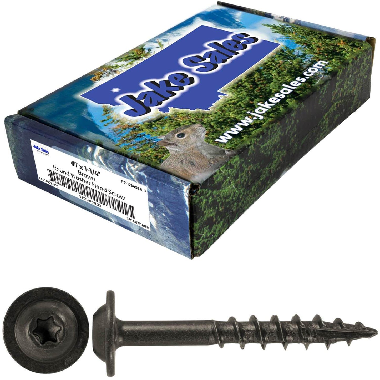 #7 Interior / Exterior Coated Round Head - Wood Screw with Torx/Star Drive Head.
