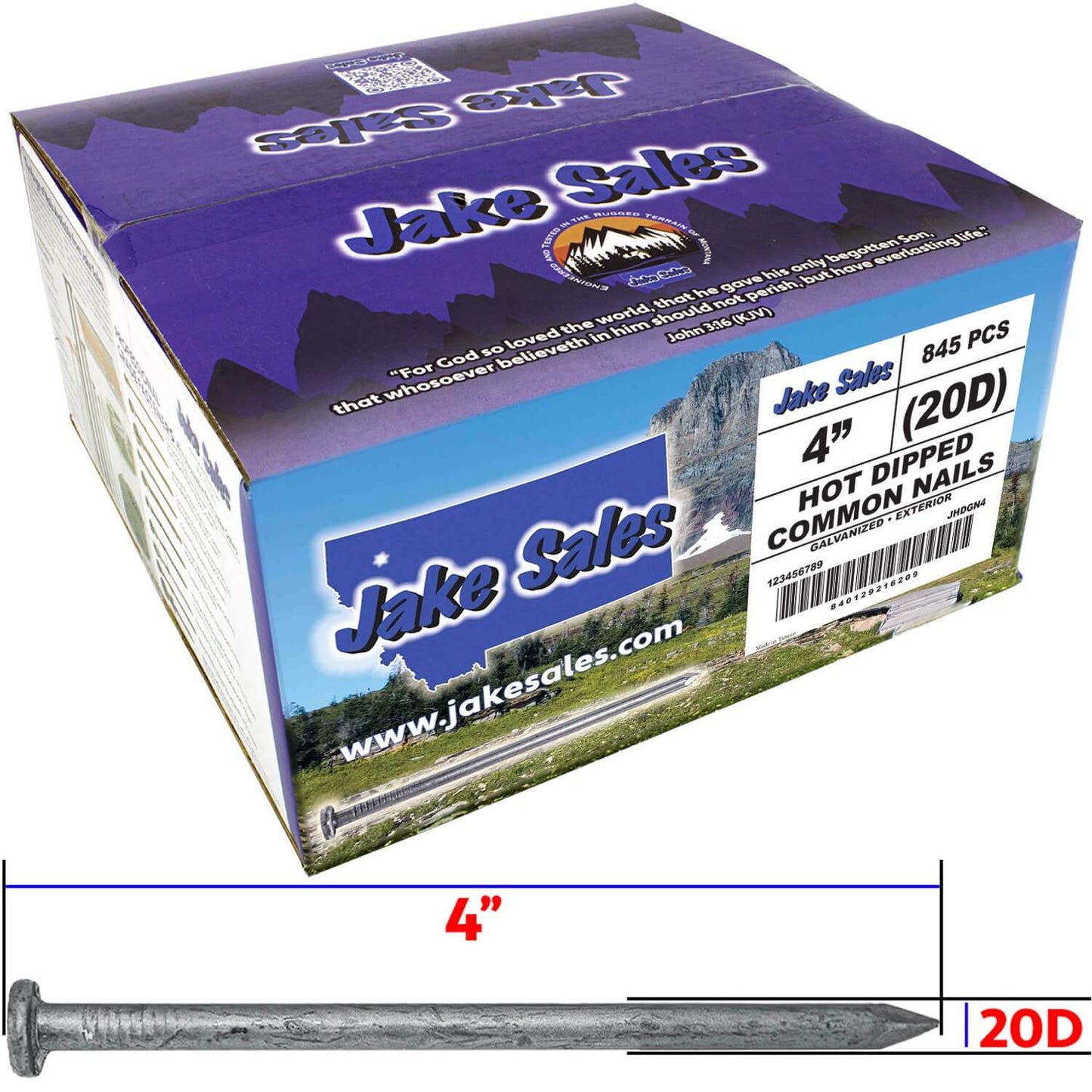 Exterior Hot Dipped Galvanized Common Framing Nail for General Construction, Framing