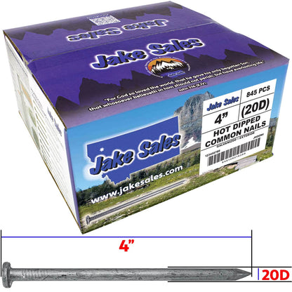 Exterior Hot Dipped Galvanized Common Framing Nail for General Construction, Framing