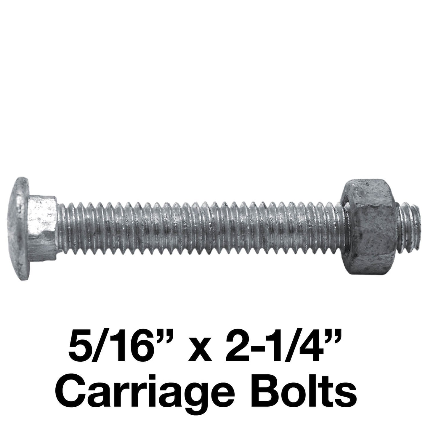 CARRIAGE BOLTS - Galvanized Bulk Chain Link Fence Carriage Bolts