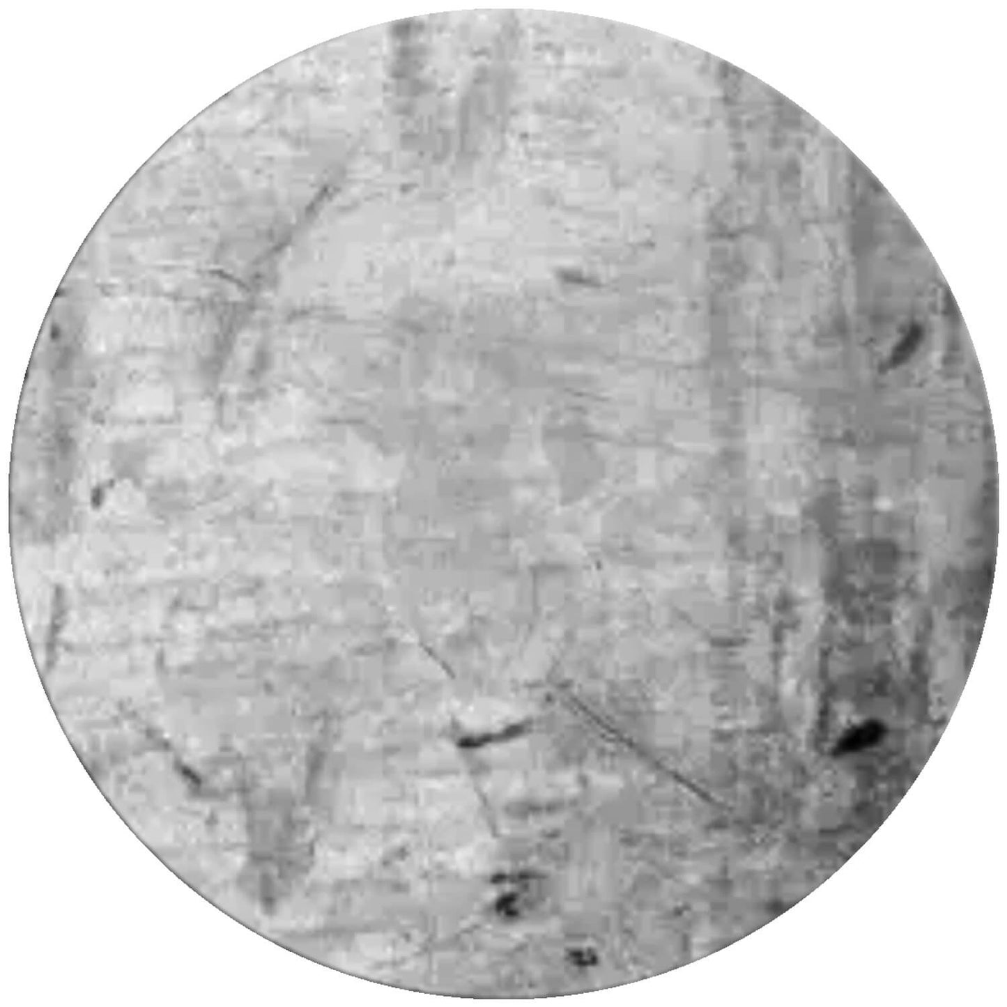 Bright Common Framing Nails - Heavy-Duty Fastener Designed for Interior Construction Applications - Uncoated Carbon Steel with Smooth Shank - Load Bearing Strength