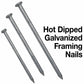 Exterior Hot Dipped Galvanized Common Framing Nail for General Construction, Framing